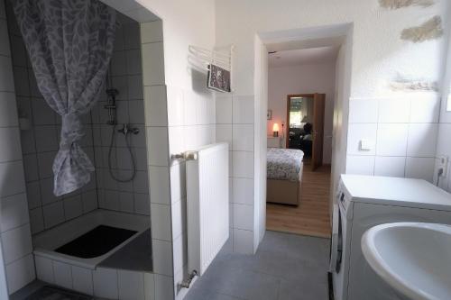 a bathroom with a shower and a sink at Haus im Ländle in Volkertshausen