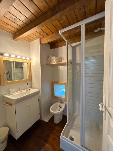 a bathroom with a shower and a sink and a toilet at Cal Toni de Vilallobent in Vilallovent