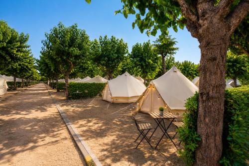 a row of tents in a field with a tree at Kampaoh Blanes in Blanes