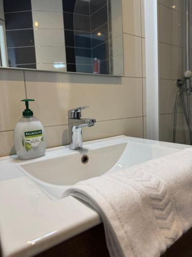 a bathroom sink with a bottle of soap on it at Apparthotel de Langogne in Langogne