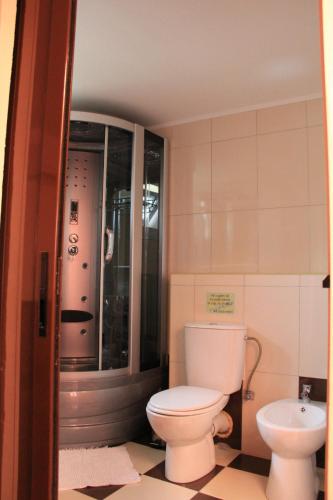 a bathroom with a toilet and a sink at Pension Prodelta in Uzlina