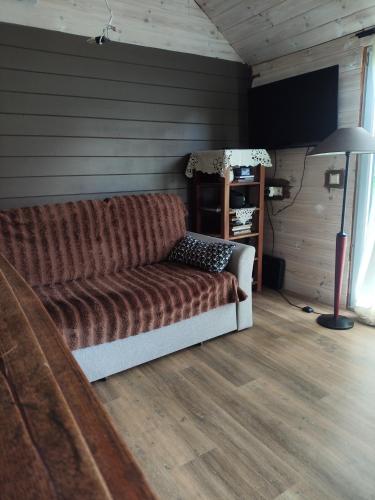 a living room with a couch and a lamp at Owls' house B&B in Skriaudžiai