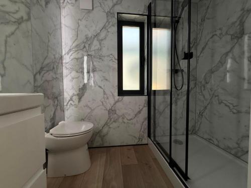 a bathroom with a toilet and a shower at Luxury Houseboat Wolphaartsdijk VP109 in Wolphaartsdijk