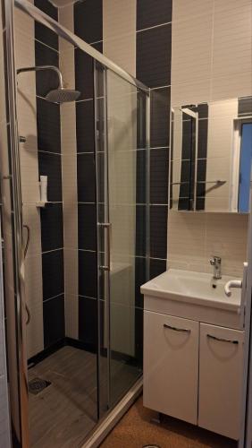 a bathroom with a shower and a sink at Hotel Sliv Elite Events in Blatec