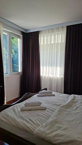 a bedroom with a large bed with two towels on it at Hotel Sliv Elite Events in Blatec