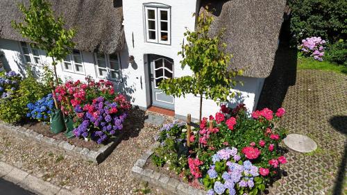 a group of flowers in front of a house at Uns witte Kaat in Oevenum