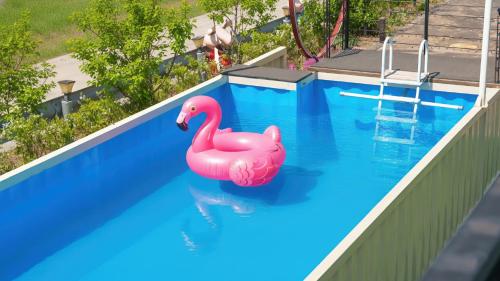 a pink flamingo in the water in a swimming pool at Hongcheon Pension 150 in Hongcheon