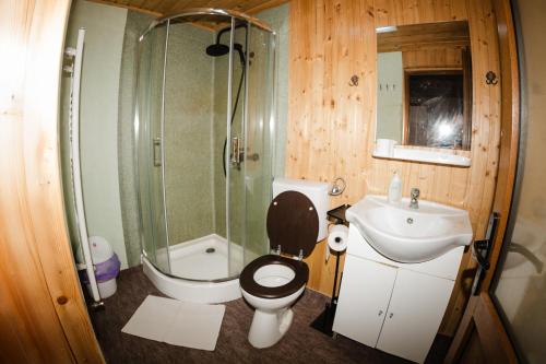 a bathroom with a toilet and a shower and a sink at FELIX hostel in Dumbrăveni