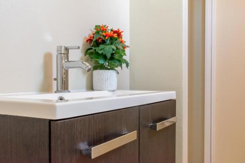 a bathroom with a sink and a plant at Chalet dichtbij strand Vrouwenpolder in Serooskerke