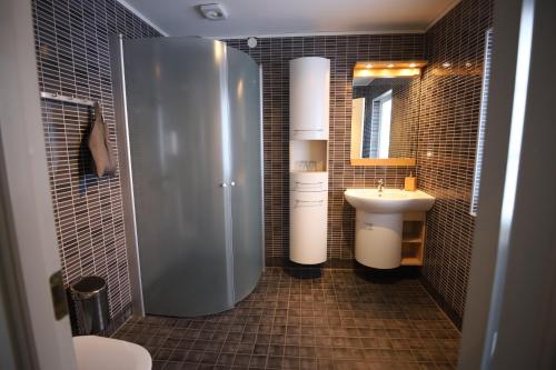 a bathroom with a shower and a sink and a toilet at Tunet in Hemavan