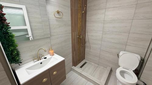 a bathroom with a toilet and a sink and a mirror at Casa TEOS in 2 Mai