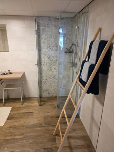 a room with a walk in shower and a ladder at Herberg de Griffioen in Wolphaartsdijk