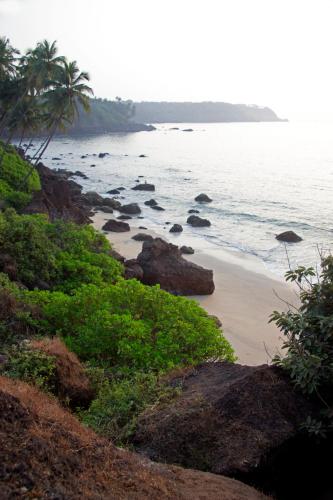 a beach with rocks and palm trees and the ocean at The Cape Goa in Cabo de Rama