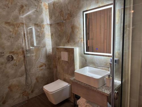 a bathroom with a sink and a toilet and a shower at Vila Shehi Guesthouse and Winery in Tirana