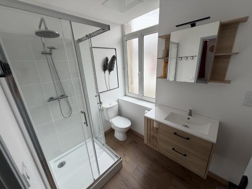 a bathroom with a shower and a toilet and a sink at ecuires 1 in Écuires