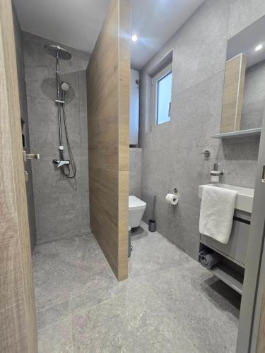 a bathroom with a shower and a toilet and a sink at Divina Loft C Modern Loft with Shared Pool in Perivolia