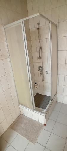 a shower with a glass door in a bathroom at Jelena i Agi apartman Bibinje in Bibinje