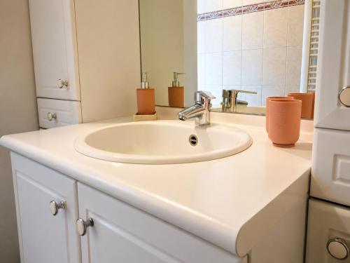 a bathroom with a white sink and a mirror at Les Mésanges Bleu in Malmedy