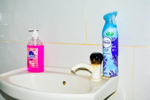 a bathroom sink with a bottle of mouthwash and a toothbrush at Diani Escape in Ukunda