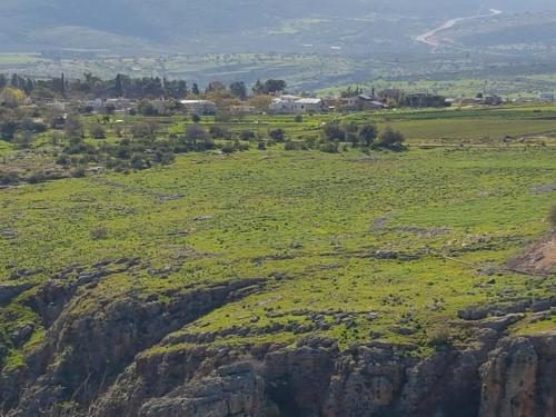 an open field with green plants on a mountain at Betzel Ha'Ella in Kahal