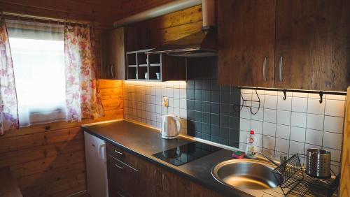 a kitchen with a sink and a counter top at Domki Letniskowe Krakus in Rusinowo