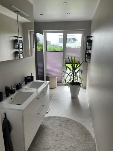 a bathroom with two sinks and a potted plant at Kvissentali House in Tartu