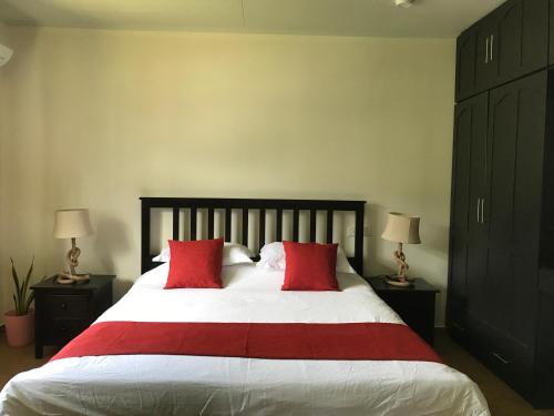 a bedroom with a large bed with two red pillows at Flower Garden Self-Catering Apartments in Beau Vallon