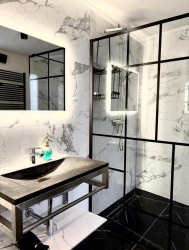 a bathroom with a sink and a mirror at Brussels Loft in Brussels