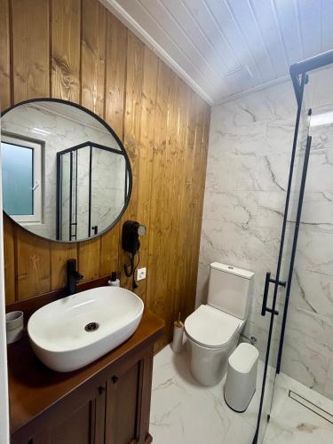 a bathroom with a sink and a toilet and a mirror at Pletey house in Verkhovyna