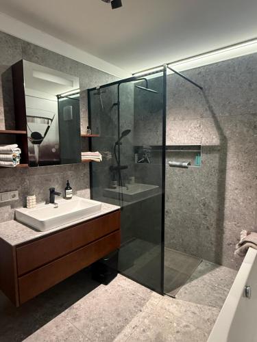 a bathroom with a glass shower and a sink at Dolce Vita Appartment in Schärding