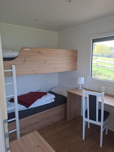 a bedroom with a bunk bed and a desk and a window at Haus Barsch in Lohmen