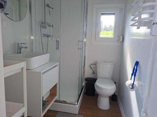 a white bathroom with a toilet and a sink at Haus Barsch in Lohmen