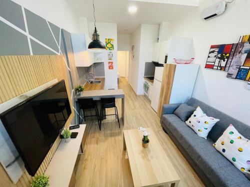 Entire apartment in Madrid