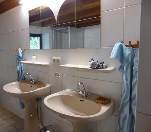a bathroom with a sink and a mirror at vakantiehuis Hunsrück in Leisel