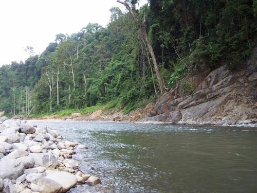 a river with rocks on the side of a mountain at Sam's Bungalows And Treks in Bukit Lawang