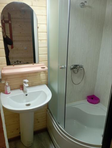 a bathroom with a sink and a shower at Бойківський двір in Yasenitsa Zamkova