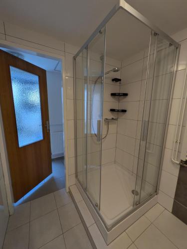a shower with a glass door in a bathroom at Bonito - Historischer Streckhof in Schützen am Gebirge