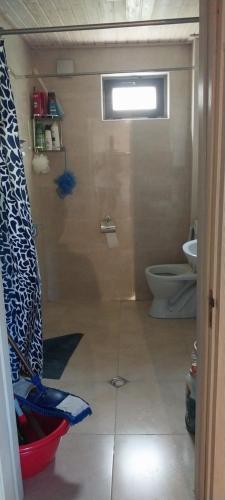 a bathroom with a shower and a toilet at Dvalebi's Marani in Gori