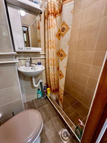 a bathroom with a shower and a toilet and a sink at Weekend House in Vrelo in Jelovica