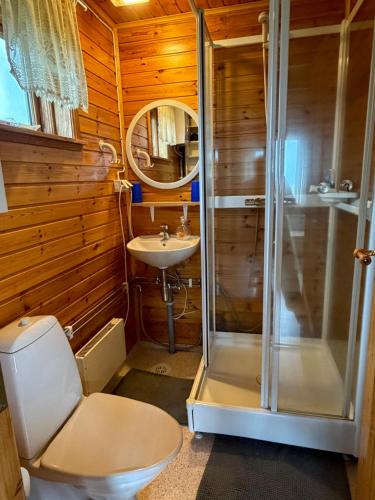 a bathroom with a shower and a toilet and a sink at Egilsstaðir 1, Sjónarhóll, Urridafossvegur, Selfoss in Selfoss
