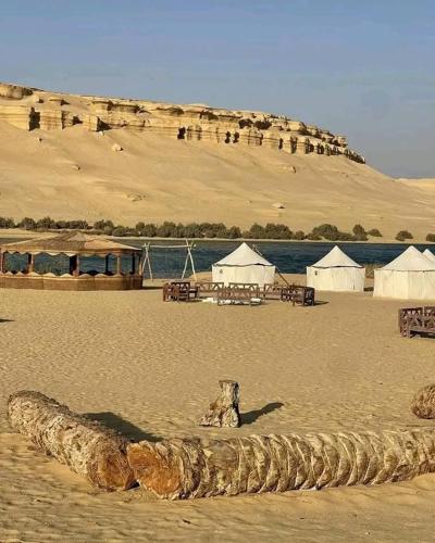 a beach with white tents and a mountain at Fayoum Safari Camp in Qaryat at Ta‘mīr as Siyāḩīyah
