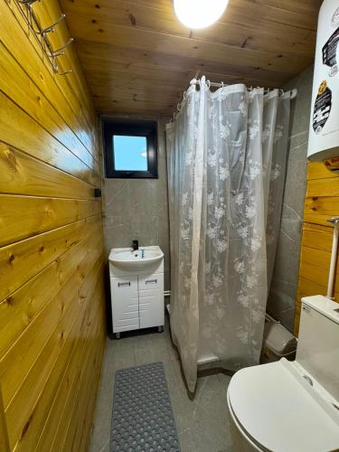 a bathroom with a sink and a shower curtain at Барнхаус in Bosteri