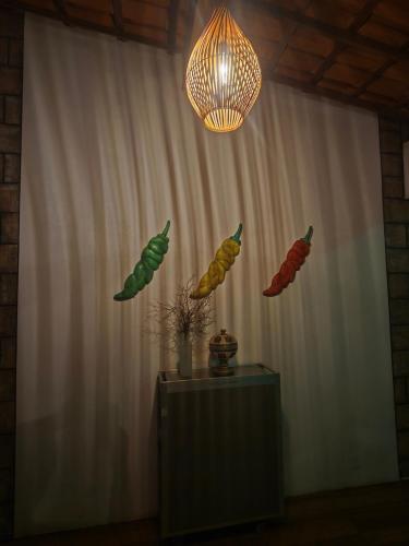 a chandelier with four different colored feathers on a wall at Tapioca Vila Boutique in Atins