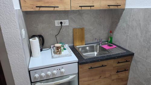 a small kitchen with a sink and a stove at Apartmani Rama - terra nostra in Prozor