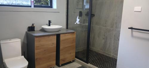 a bathroom with a sink and a shower and a toilet at Cormorants' View Self Catering accommodation in Sedgefield