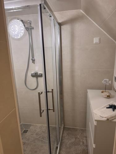 a shower with a glass door in a bathroom at Ferienhaus Fehmarnliebe in Fehmarn