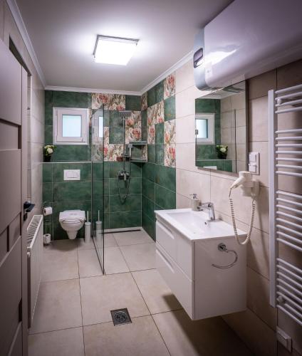 a bathroom with a shower and a sink and a toilet at Diófa Vendégház in Békésszentandrás