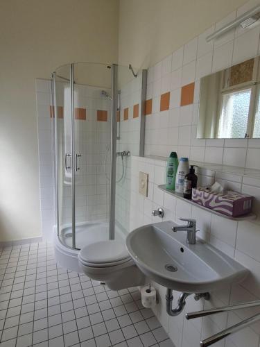 a bathroom with a shower and a toilet and a sink at PP Pension Potsdam in Potsdam