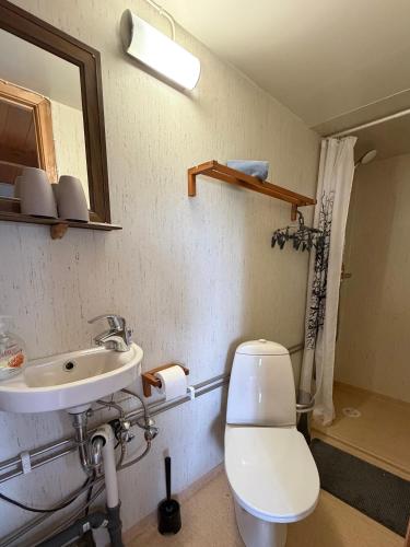 a bathroom with a toilet and a sink at Egilsstadir 1, Skógarkot, Urridafossvegur, Selfoss in Selfoss