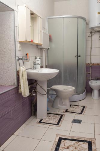 a bathroom with a toilet and a sink and a shower at Bujtina Mitaj in Vermosh
